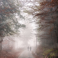 Buy canvas prints of Road through autumn forest and mist by Daniela Simona Temneanu