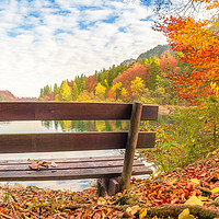 Buy canvas prints of Wooden bench in an autumn landscape by Daniela Simona Temneanu