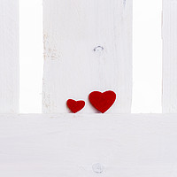 Buy canvas prints of Big and small red hearts on a fence by Daniela Simona Temneanu