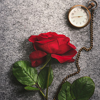Buy canvas prints of Red rose and a vintage pocket clock by Daniela Simona Temneanu