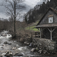 Buy canvas prints of Old abandoned water mill near a mountain river by Daniela Simona Temneanu