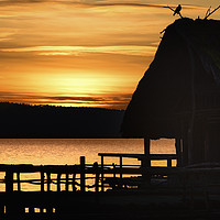 Buy canvas prints of Silhouette of a cottage and bird  at sunset by Daniela Simona Temneanu
