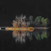 Buy canvas prints of Autumn colored trees surrounded by darkness by Daniela Simona Temneanu