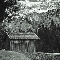 Buy canvas prints of Monochrome alpine scenery by Daniela Simona Temneanu