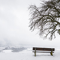 Buy canvas prints of Wooden bench and tree on a snowy hilltop by Daniela Simona Temneanu