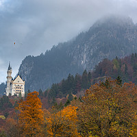 Buy canvas prints of Autumn colored forest in Bavarian Alps by Daniela Simona Temneanu