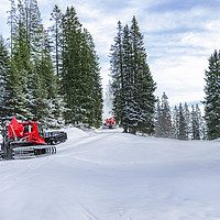Buy canvas prints of Snow groomers on alpine road through forest by Daniela Simona Temneanu