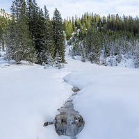 Buy canvas prints of Frozen stream in austrian alps by Daniela Simona Temneanu