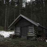 Buy canvas prints of Hunting lodge in austrian forest by Daniela Simona Temneanu