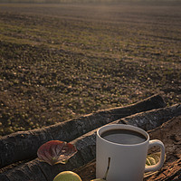 Buy canvas prints of Coffee mug on tree bark at sunrise by Daniela Simona Temneanu