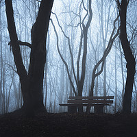 Buy canvas prints of Wooden bench and foggy autumn forest by Daniela Simona Temneanu