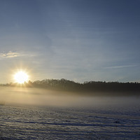 Buy canvas prints of Snowy fields in a foggy morning by Daniela Simona Temneanu