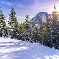 Buy canvas prints of Sun rays over snowy alpine scene by Daniela Simona Temneanu
