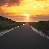 Buy canvas prints of Road through dunes and grass at sunrise by Daniela Simona Temneanu