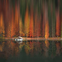 Buy canvas prints of Motion blur autumn forest and water reflection by Daniela Simona Temneanu