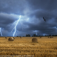 Buy canvas prints of Lightning storm and field with bales of hay by Daniela Simona Temneanu