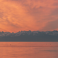 Buy canvas prints of European Alps and lake Constance at sunset. Red sky evening in Constance, Germany by Daniela Simona Temneanu