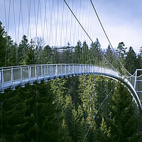 Buy canvas prints of Suspension bridge in Black Forest, Germany. Metal bridge over pine trees by Daniela Simona Temneanu