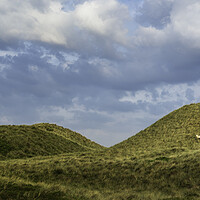 Buy canvas prints of Grassy dunes landscape on Sylt island. Nature reserve at North Sea by Daniela Simona Temneanu