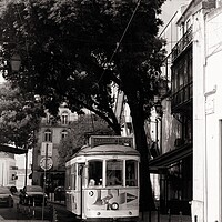 Buy canvas prints of Iconic tram of Lisbon Portugal by Steve Painter
