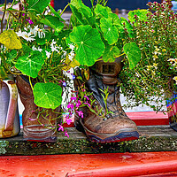 Buy canvas prints of Trekking boots recycled as a cottage garden by Steve Painter