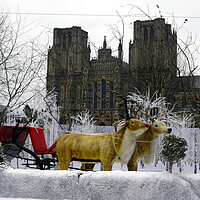 Buy canvas prints of Christmas at Wells Cathedral Somerset England by Steve Painter