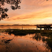 Buy canvas prints of Golden Lagoon by Steve Painter