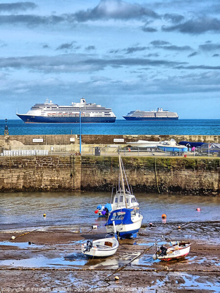 Paignton Harbour with two Cruise Ships Picture Board by Elizabeth Chisholm