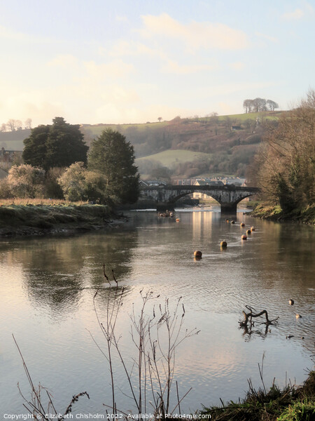 An early morning on the River Dart in Totnes  Picture Board by Elizabeth Chisholm