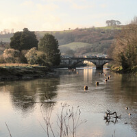 Buy canvas prints of An early morning on the River Dart in Totnes  by Elizabeth Chisholm