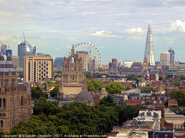 London skyline - a panorama from Kensington to Sou Picture Board by Elizabeth Chisholm