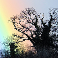 Buy canvas prints of At the bottom of the rainbow by Elizabeth Chisholm