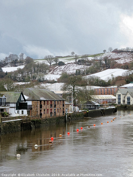 Snow on the River Dart at Totnes Picture Board by Elizabeth Chisholm