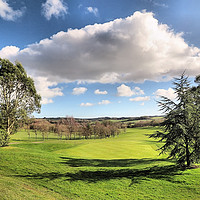 Buy canvas prints of A fairway to the eighteenth hole by Elizabeth Chisholm