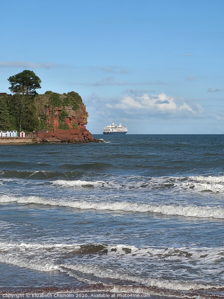 Cruise Ship in Torbay Picture Board by Elizabeth Chisholm