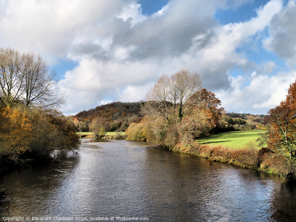 Shades of Autumn on the River Dart Picture Board by Elizabeth Chisholm