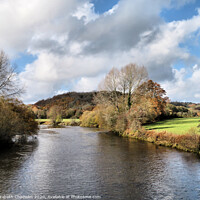 Buy canvas prints of Shades of Autumn on the River Dart by Elizabeth Chisholm