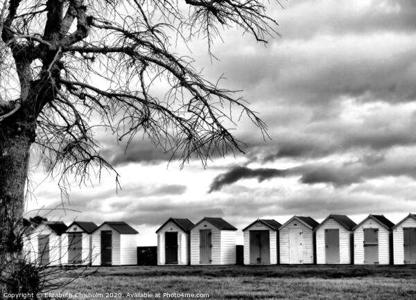 Beach Huts in Black and White -End of the season Picture Board by Elizabeth Chisholm
