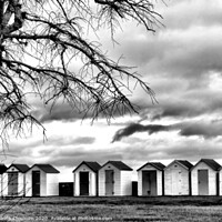 Buy canvas prints of Beach Huts in Black and White -End of the season by Elizabeth Chisholm