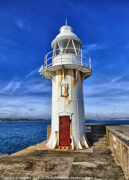 Lighthouse  on Brixham Breakwater Picture Board by Elizabeth Chisholm