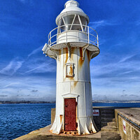 Buy canvas prints of Lighthouse  on Brixham Breakwater by Elizabeth Chisholm