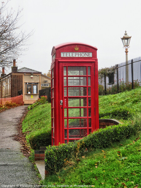 Red Telephone Box outside South Devon Railway Station Picture Board by Elizabeth Chisholm