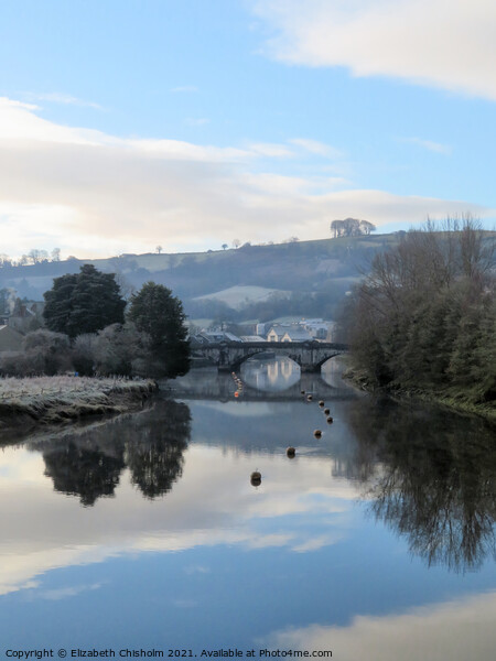 Winter on the River Dart at Totnes Picture Board by Elizabeth Chisholm