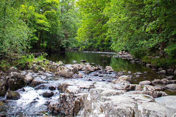 River through Betws y coed, North Wales Picture Board by Hazel Wright