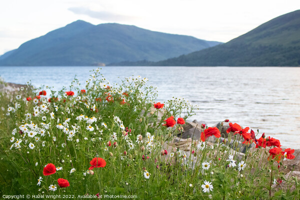 Loch Linnhe, Scotland Picture Board by Hazel Wright