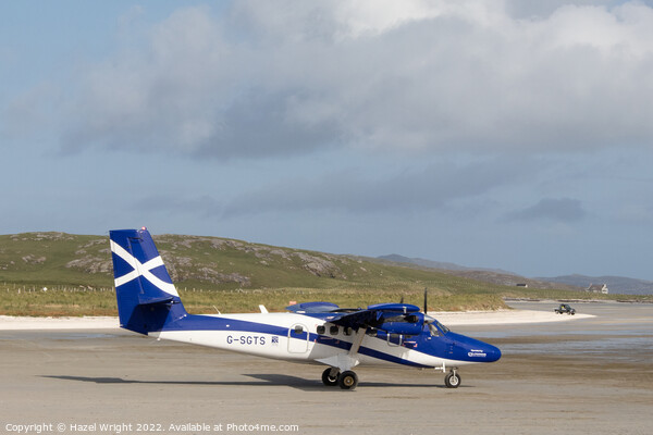 Plane at Barra airport Picture Board by Hazel Wright