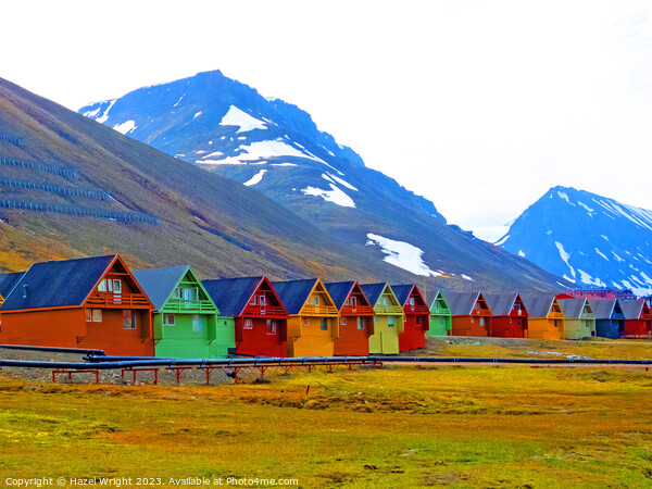 A group of houses at Longyearbyen, Svalbard Picture Board by Hazel Wright