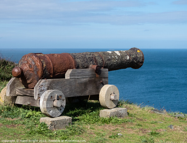 Cannon at eperquerie common Picture Board by Hazel Wright