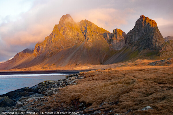 Eystrahorn at sunrise, Iceland Picture Board by Hazel Wright