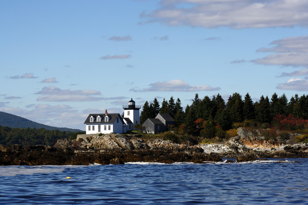 House on rocks, Maine, New England Picture Board by Hazel Wright